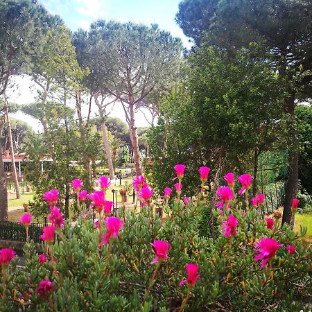 Casa Margherita Affittacamere B&B Follonica Zewnętrze zdjęcie