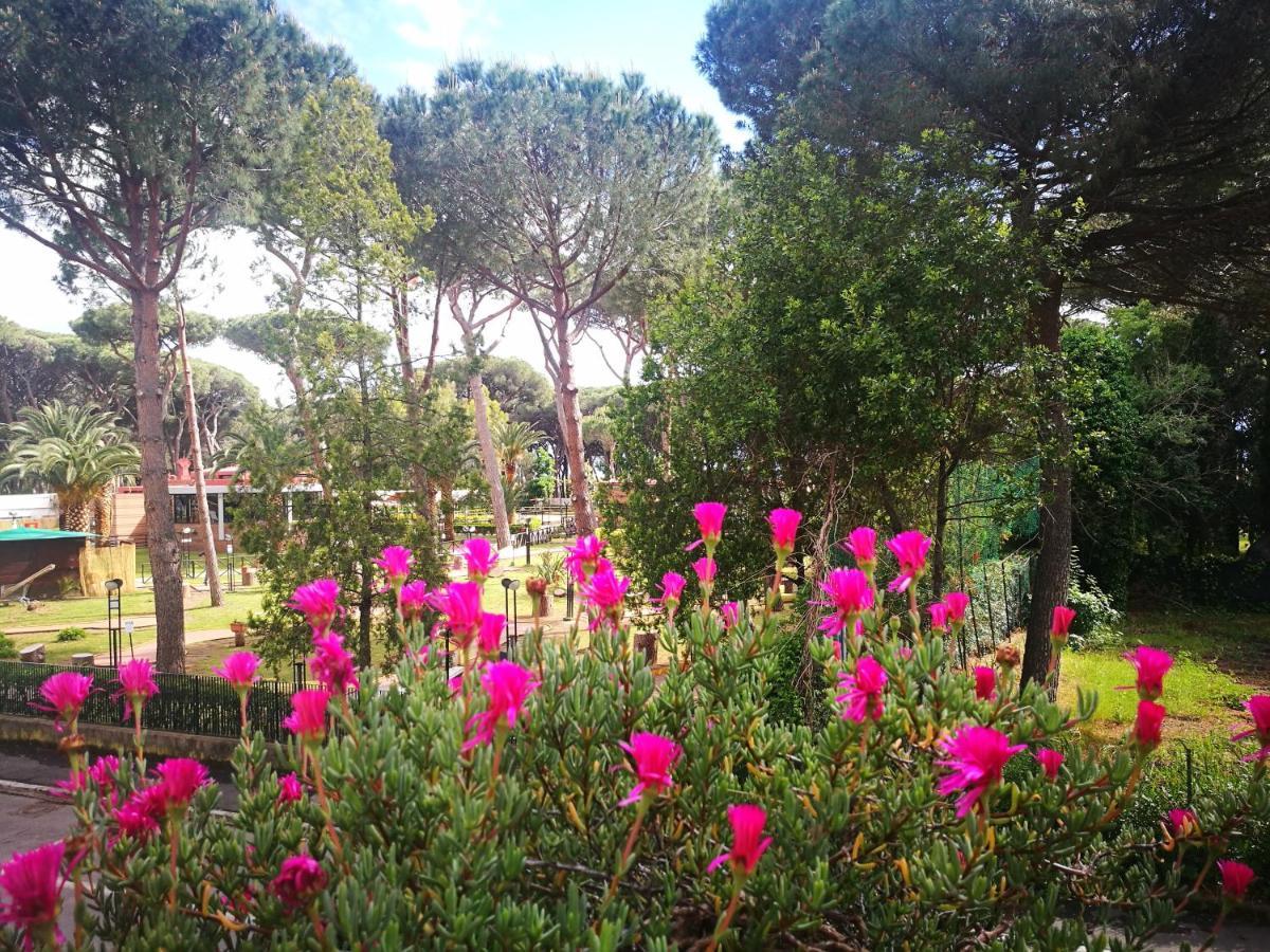 Casa Margherita Affittacamere B&B Follonica Zewnętrze zdjęcie